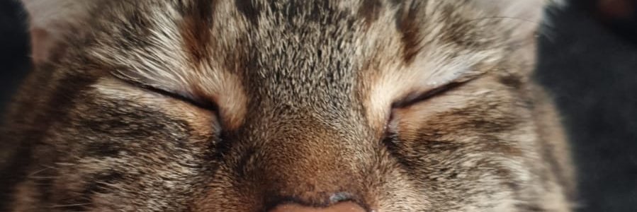 beccy_1996's profile banner image