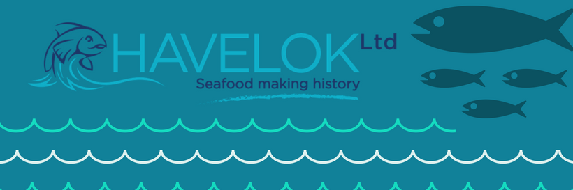 Havelok Limited banner