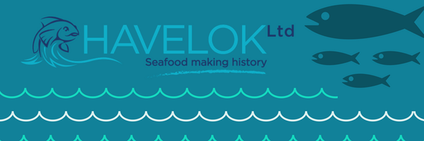 Havelokltd Profile Banner