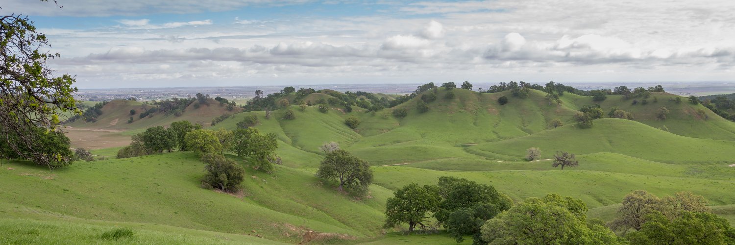 PanoramaOrganic's profile banner image