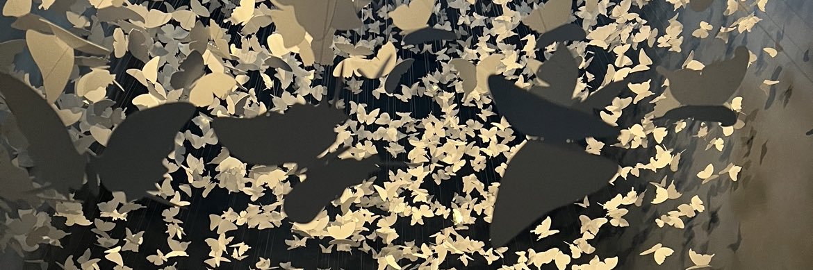 Rodo_PechG's profile banner image