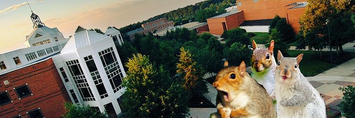 GMUSquirrels's profile banner image