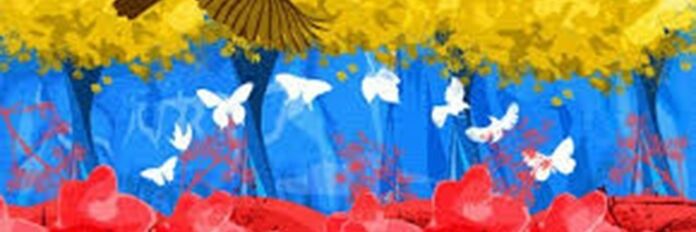 mapr1482's profile banner image