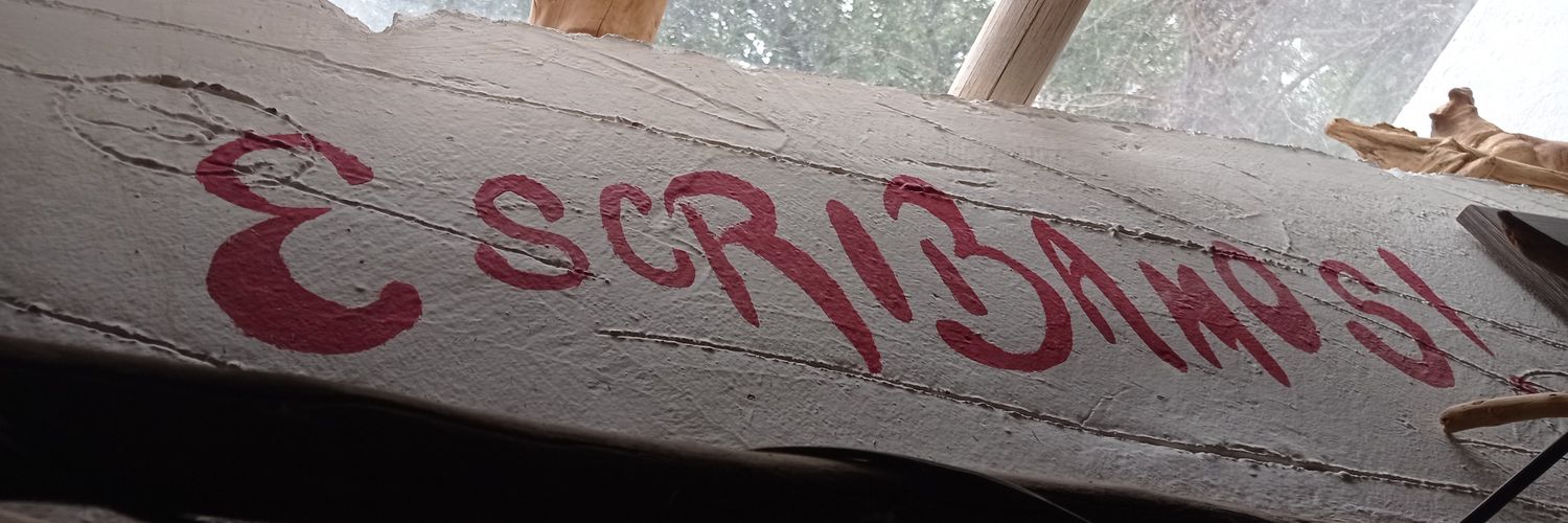 Pablo Valentín banner