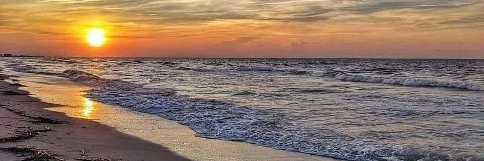 Seth Goodman ✍+⌨+☕=📚 banner