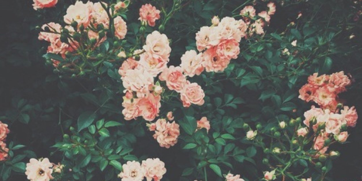 PerfectTeenFact's profile banner image
