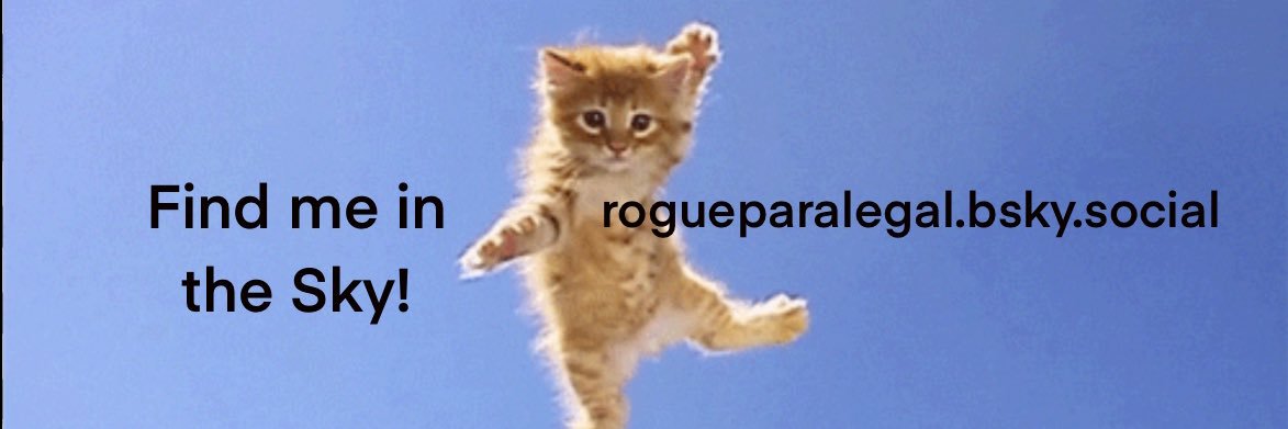 rogueparalegal's profile banner image