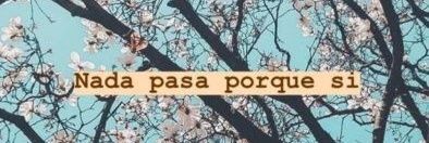 AntitoVazquez's profile banner image
