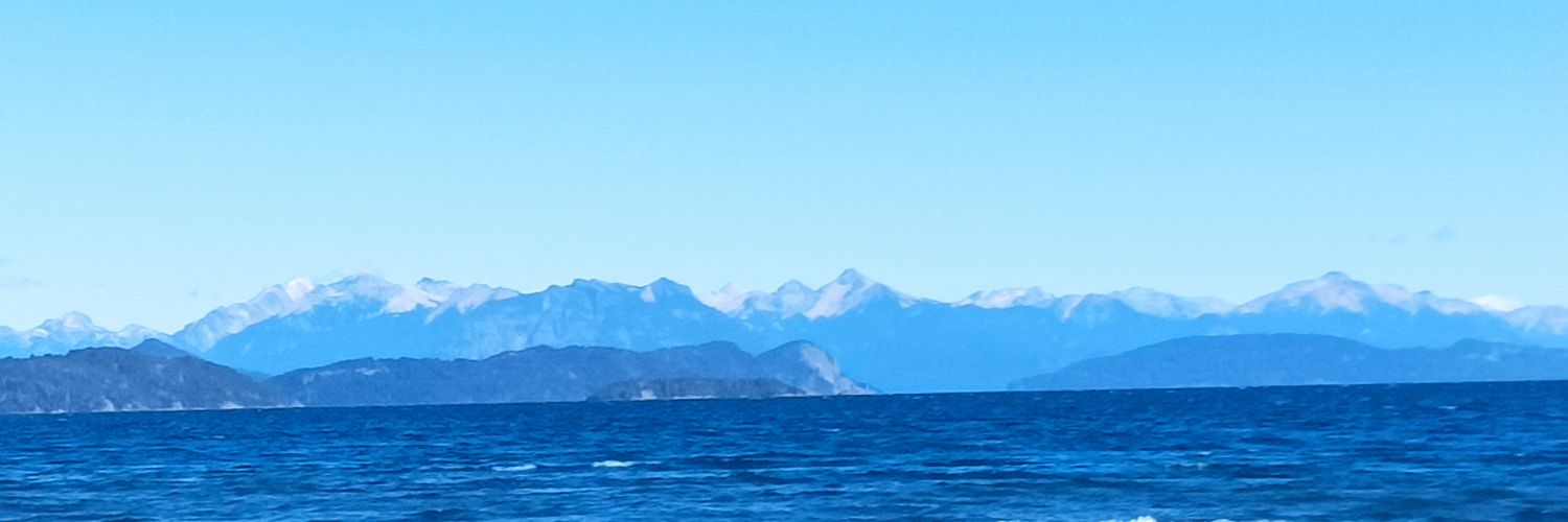 marielitans2's profile banner image