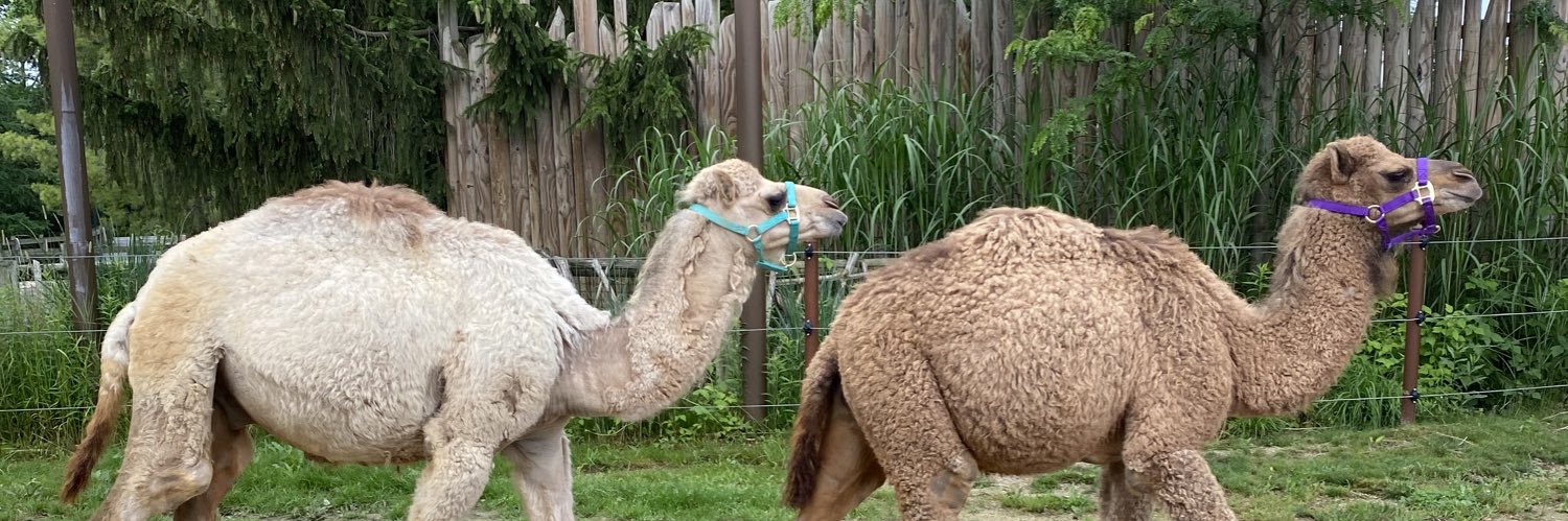 alyssa baxter banner