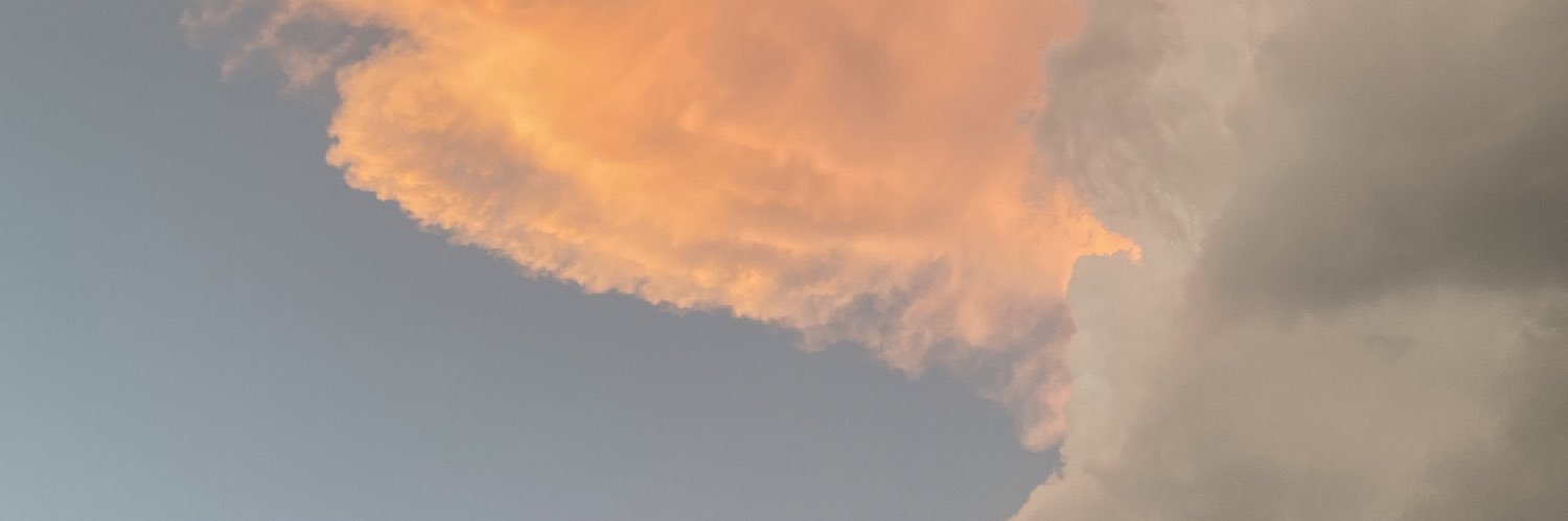 FerzzMaria's profile banner image