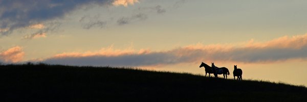 KathySabine9 Profile Banner
