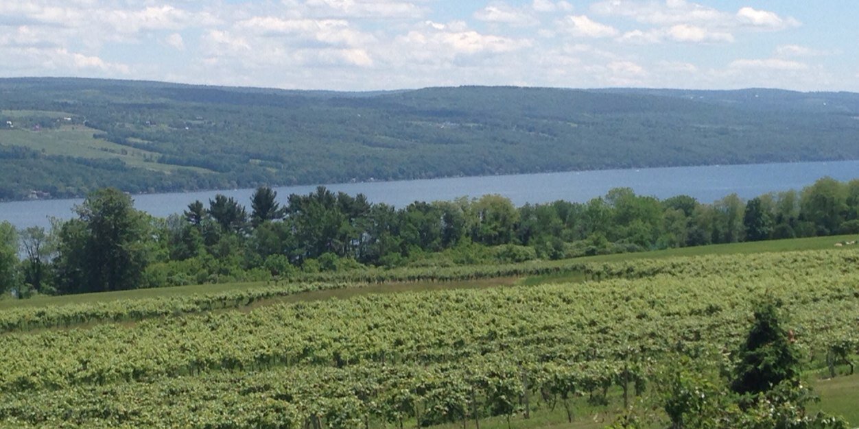 David B. Broughton banner