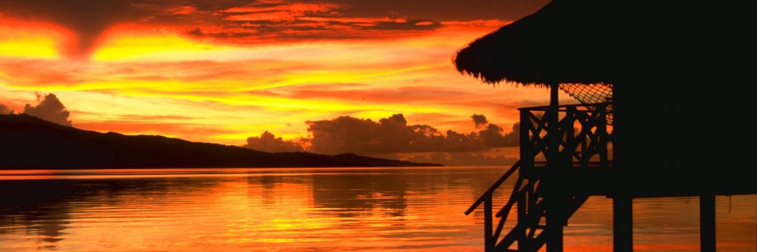 hollarooo's profile banner image