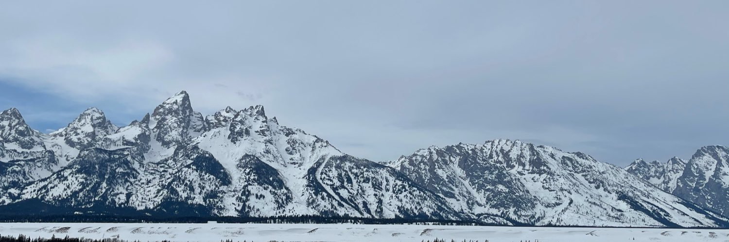 LaceyLaceym3's profile banner image