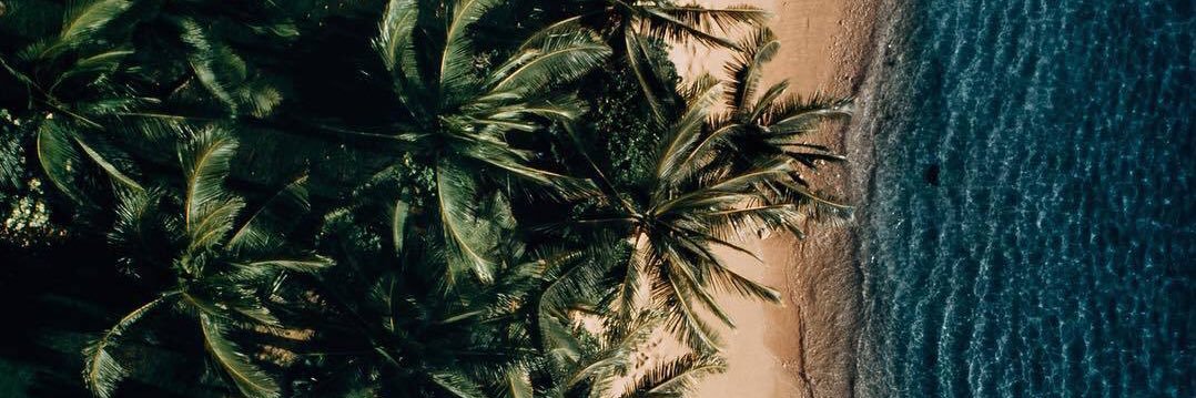 JoaFernandess's profile banner image