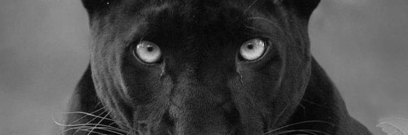 DavyJakoup's profile banner image
