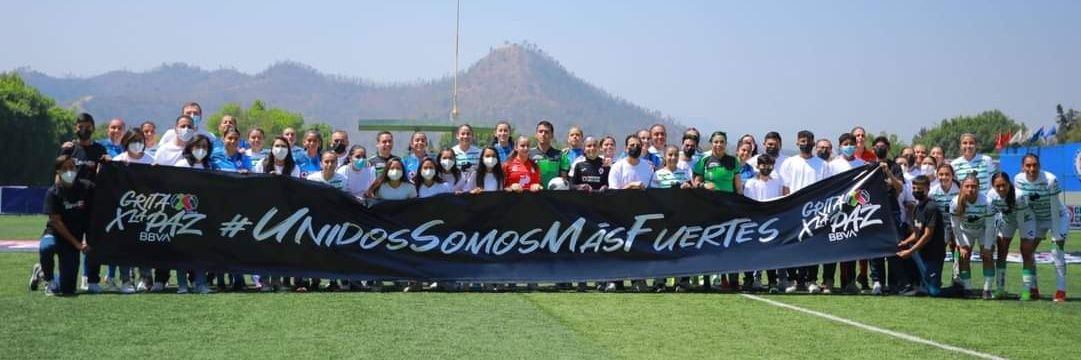 Valdo - LDA femenil , Azul Femenil, FCRF banner
