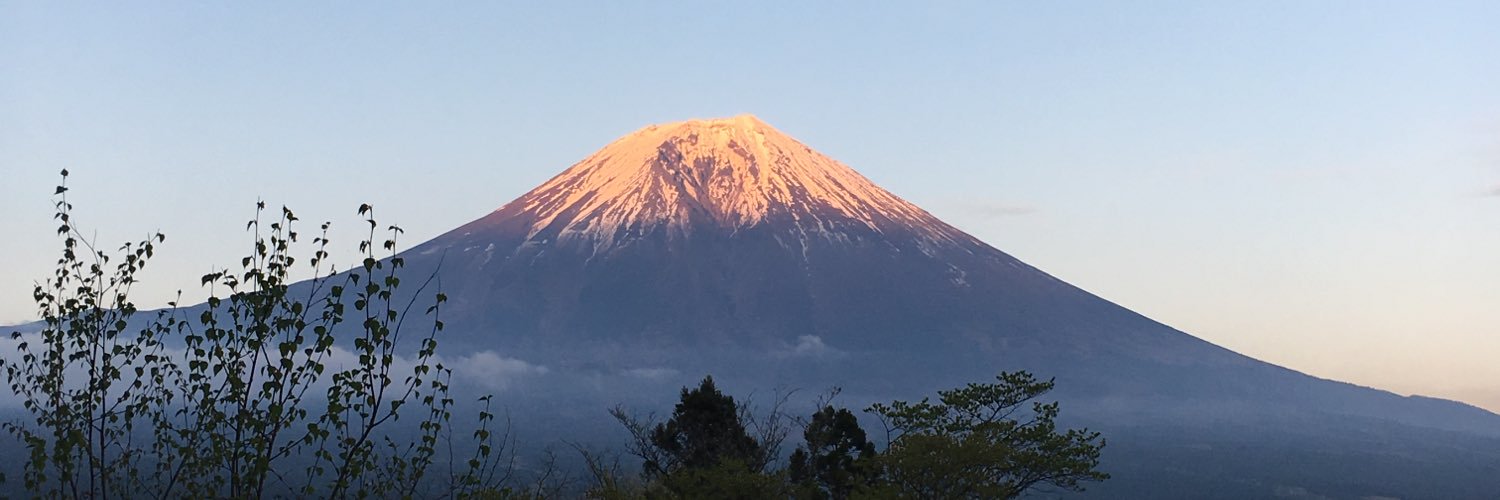 niniadesu's profile banner image