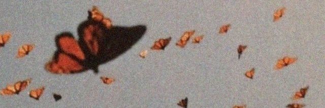 _calaaaa's profile banner image