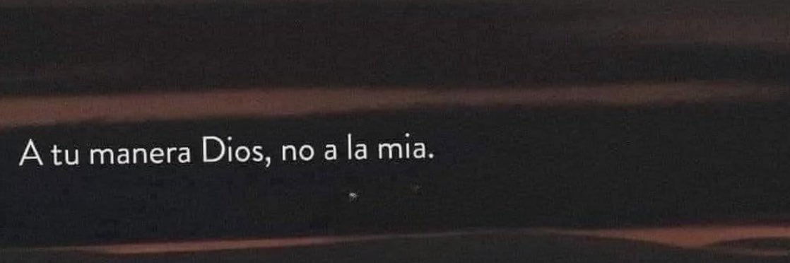 camilajvh's profile banner image
