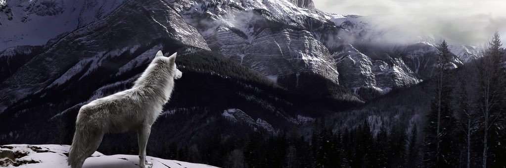 Cohvenant's profile banner image