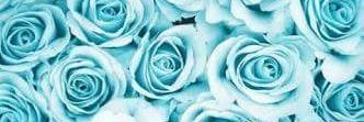 Melissa_4542's profile banner image