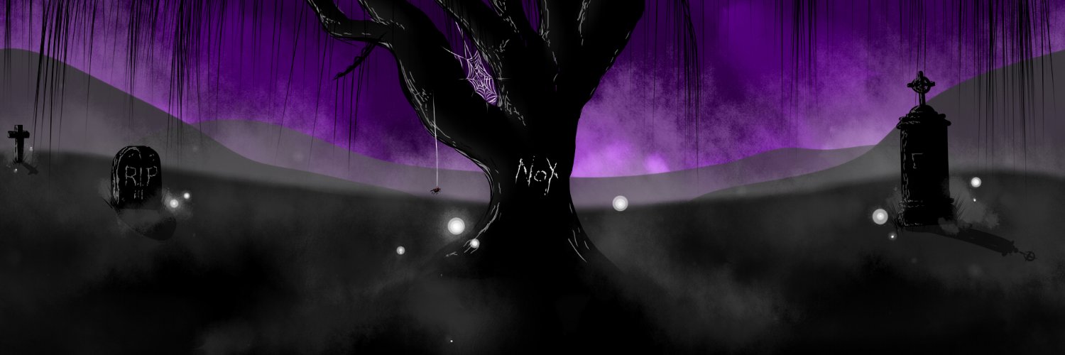 Nox_Solus's profile banner image