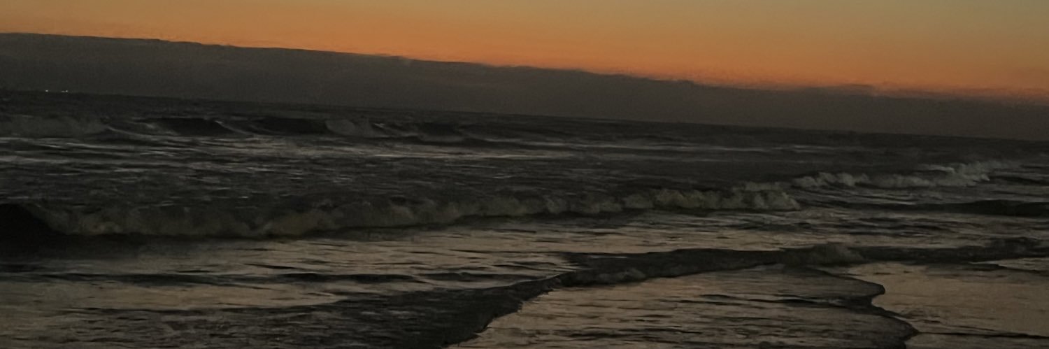 stteeefania's profile banner image