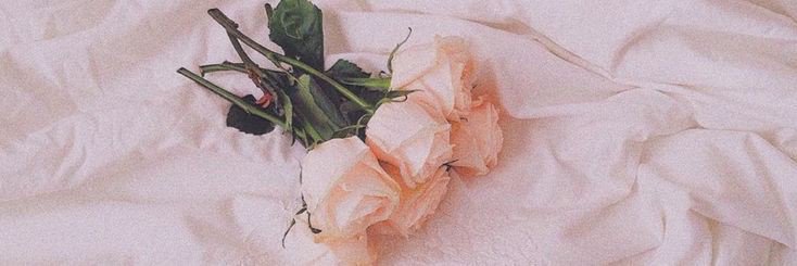 hikaripinky's profile banner image