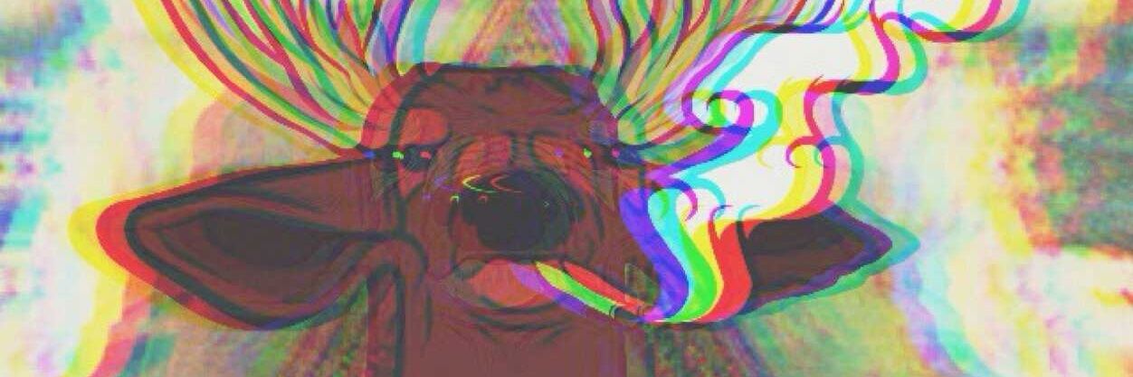 Jamal Colorado banner