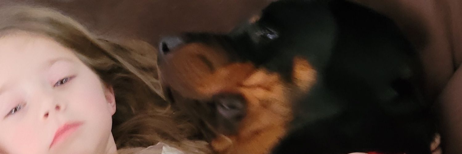 TylerOlmstead72's profile banner image