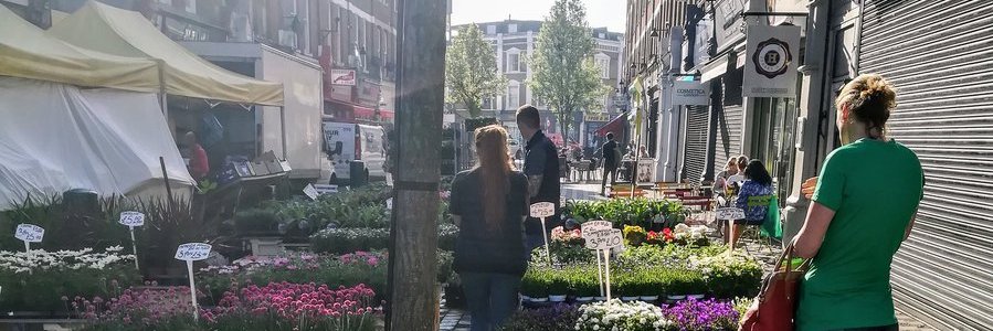 Rosie Johnson banner