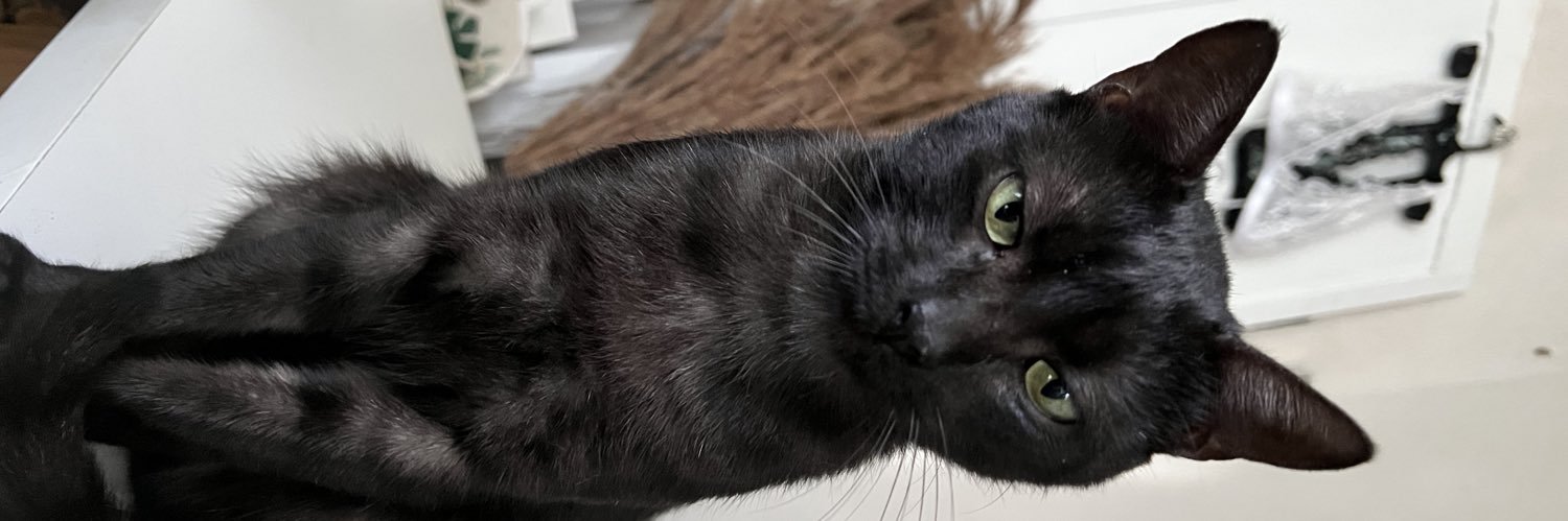 pamebohn's profile banner image