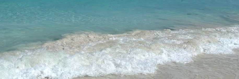 florbogaoo's profile banner image