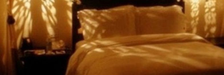 parella maca banner