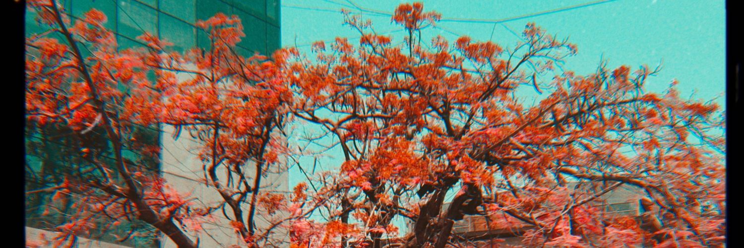 P G banner