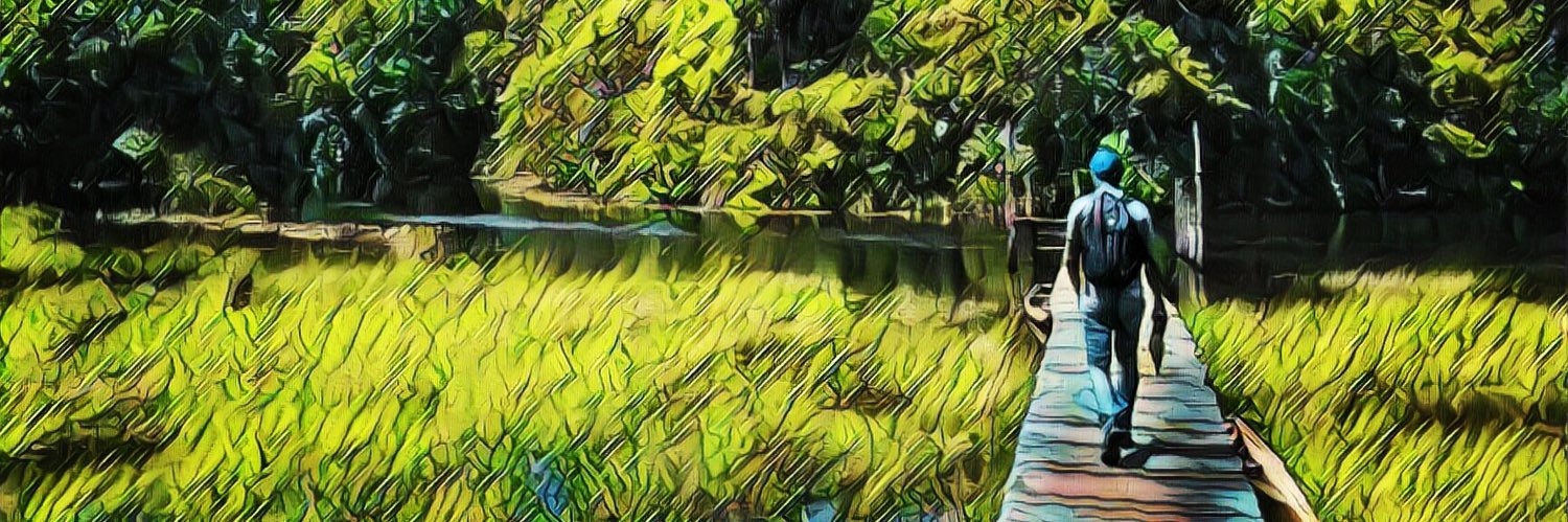 vheymard's profile banner image