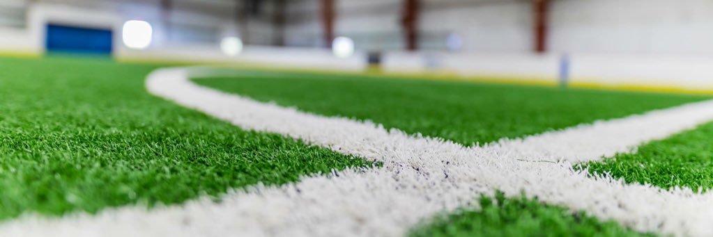 WideWorld Ann Arbor banner