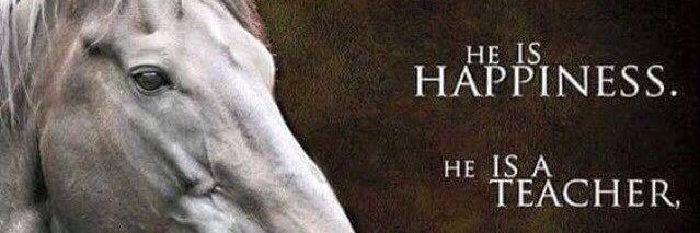 Sandra Jorgensen banner