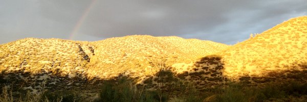 CristobalCoboQ Profile Banner