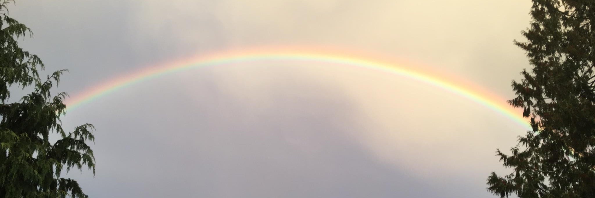RadicalWellness's profile banner image