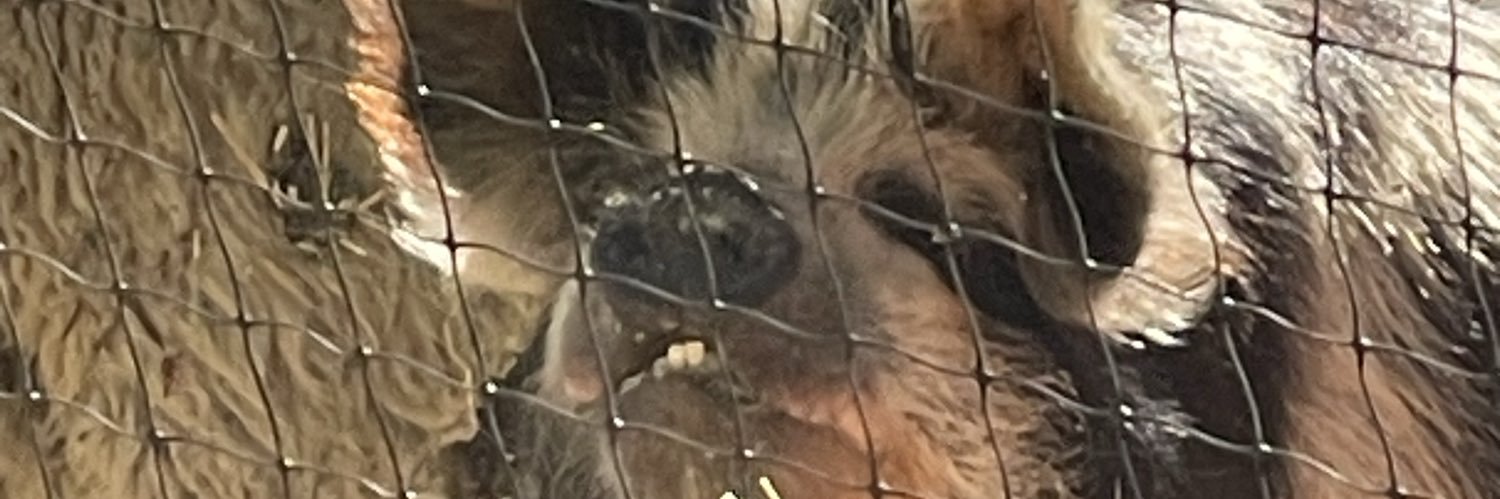 BillyThaKidd40's profile banner image