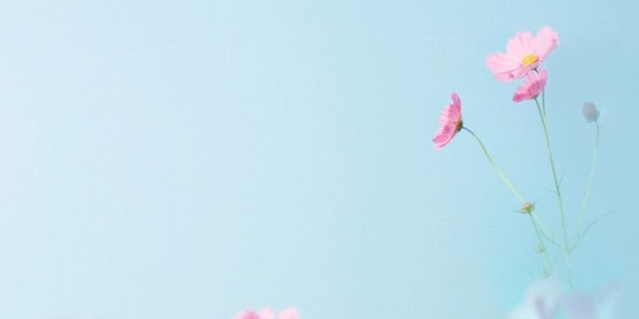 bren_fca's profile banner image