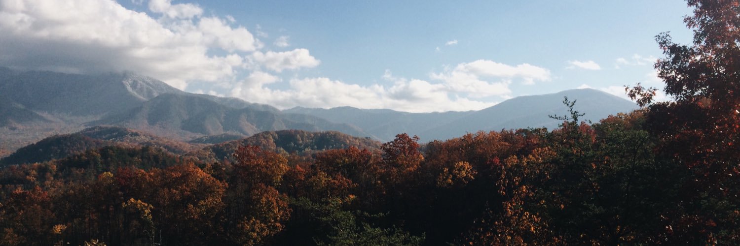_lysmarie_'s profile banner image