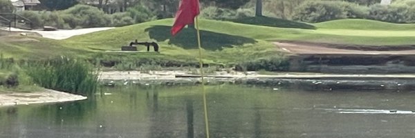 devdixon Profile Banner