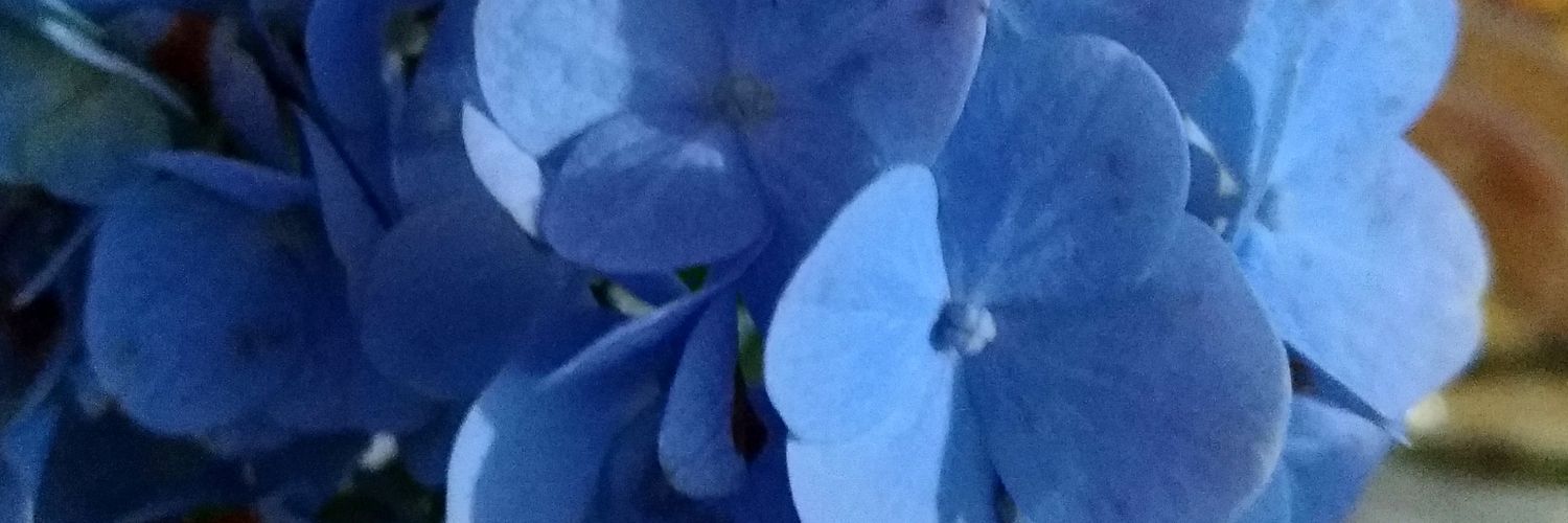 Renata_Duartt's profile banner image