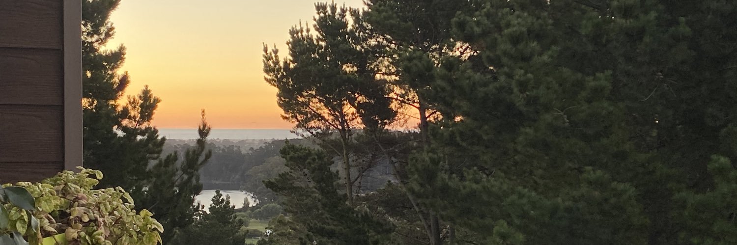 janotorresp's profile banner image