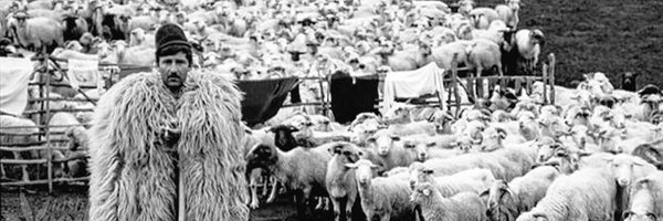 Mr__Mado Profile Banner