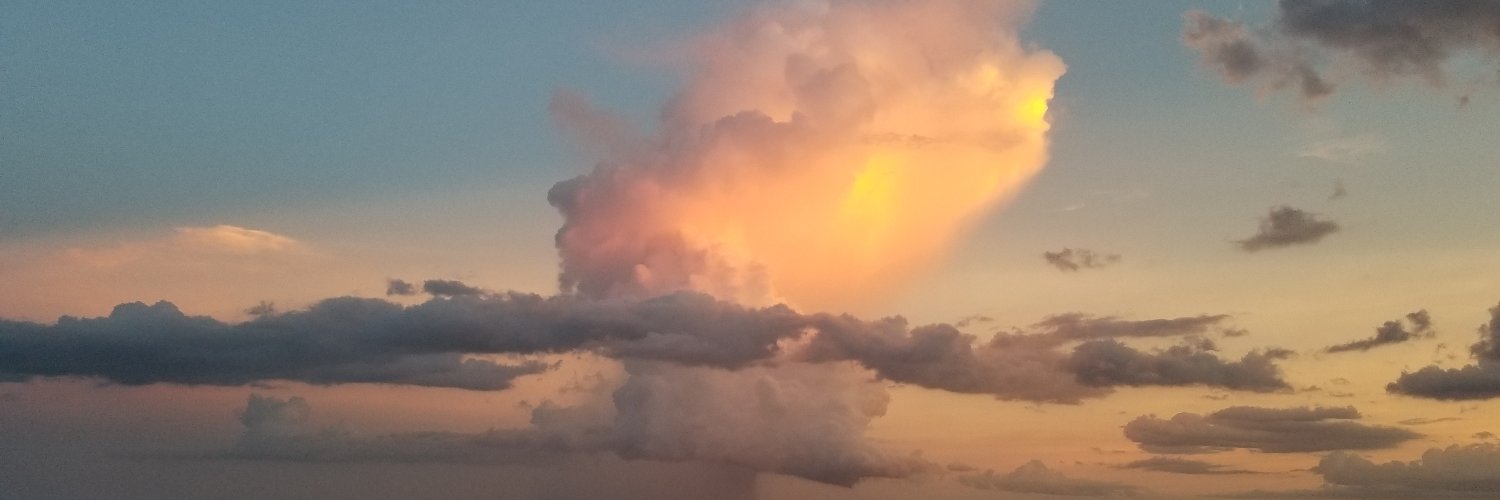 Michelle R. Warren banner